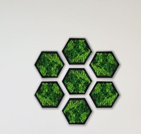 Hexagon Moss Wall Art