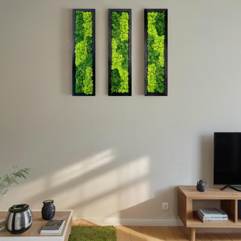 Living Plant Vertical Moss Wall Art