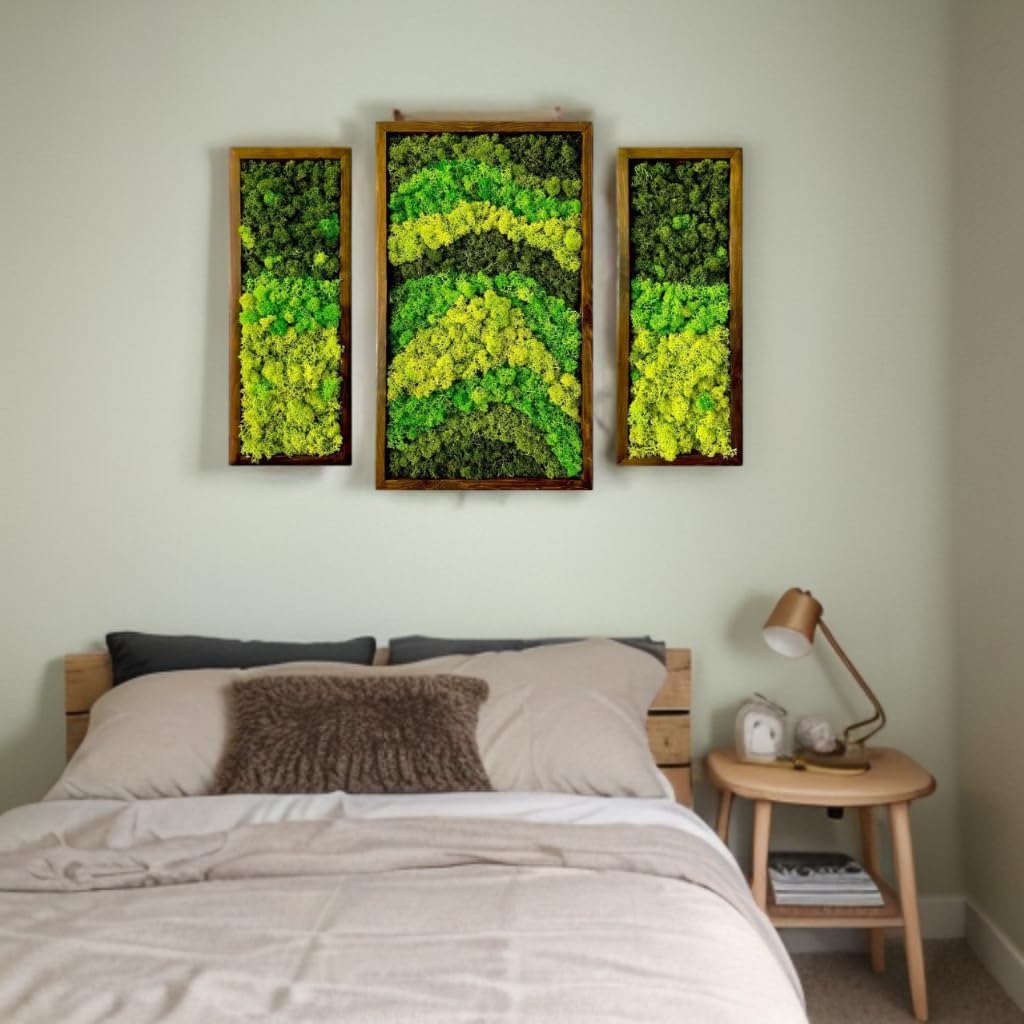 Natural Wood Framed Set of 3