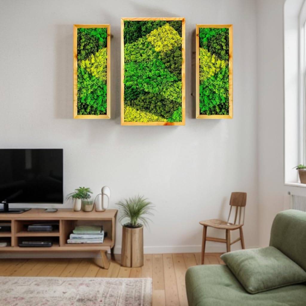Natural Wood Framed, Set of 3