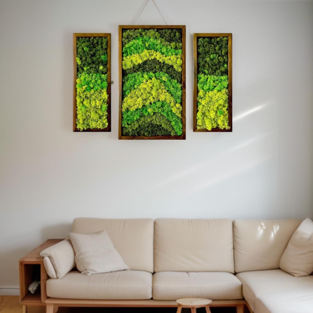 Natural Wood Framed Set of 3