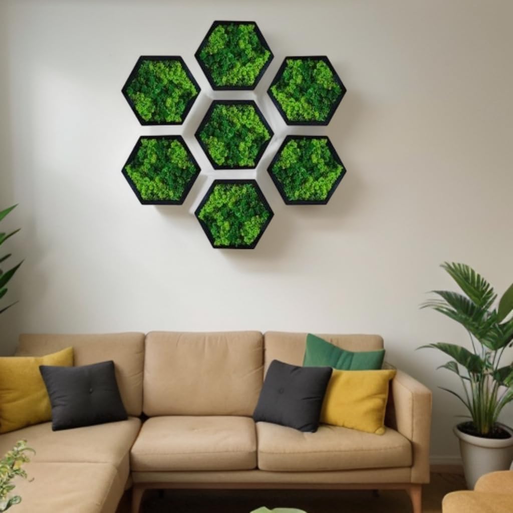 Hexagon Moss Wall Art