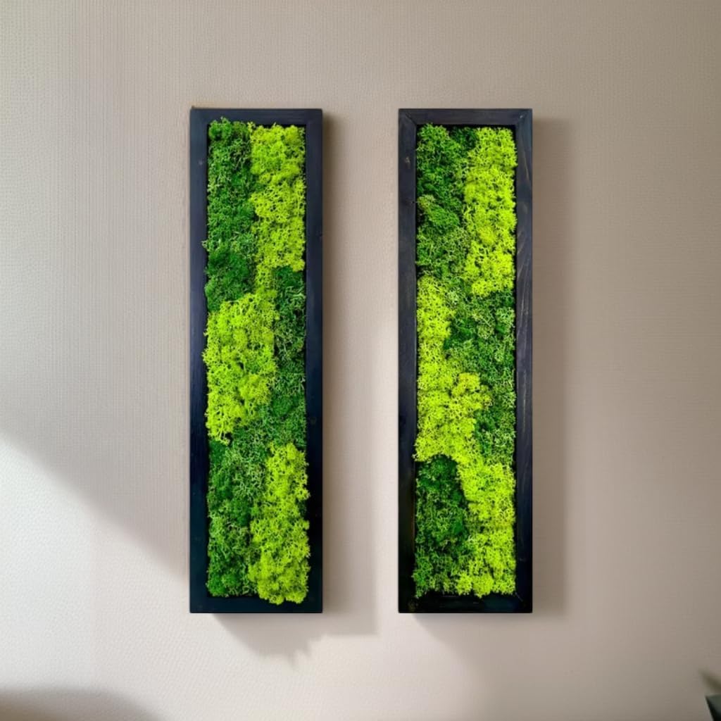 Living Plant Vertical Moss Wall Art
