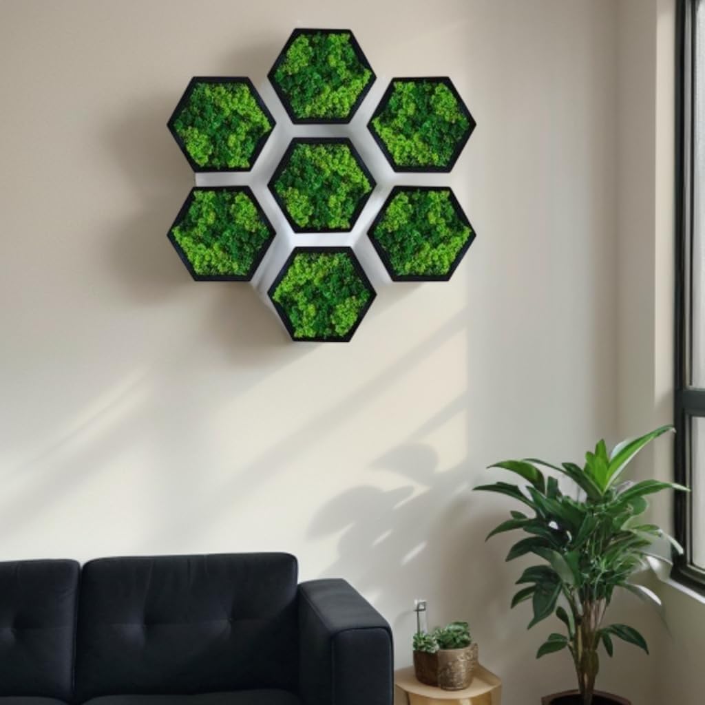 Hexagon Moss Wall Art