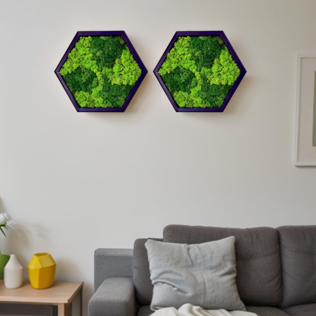 Hexagon Moss Wall Art