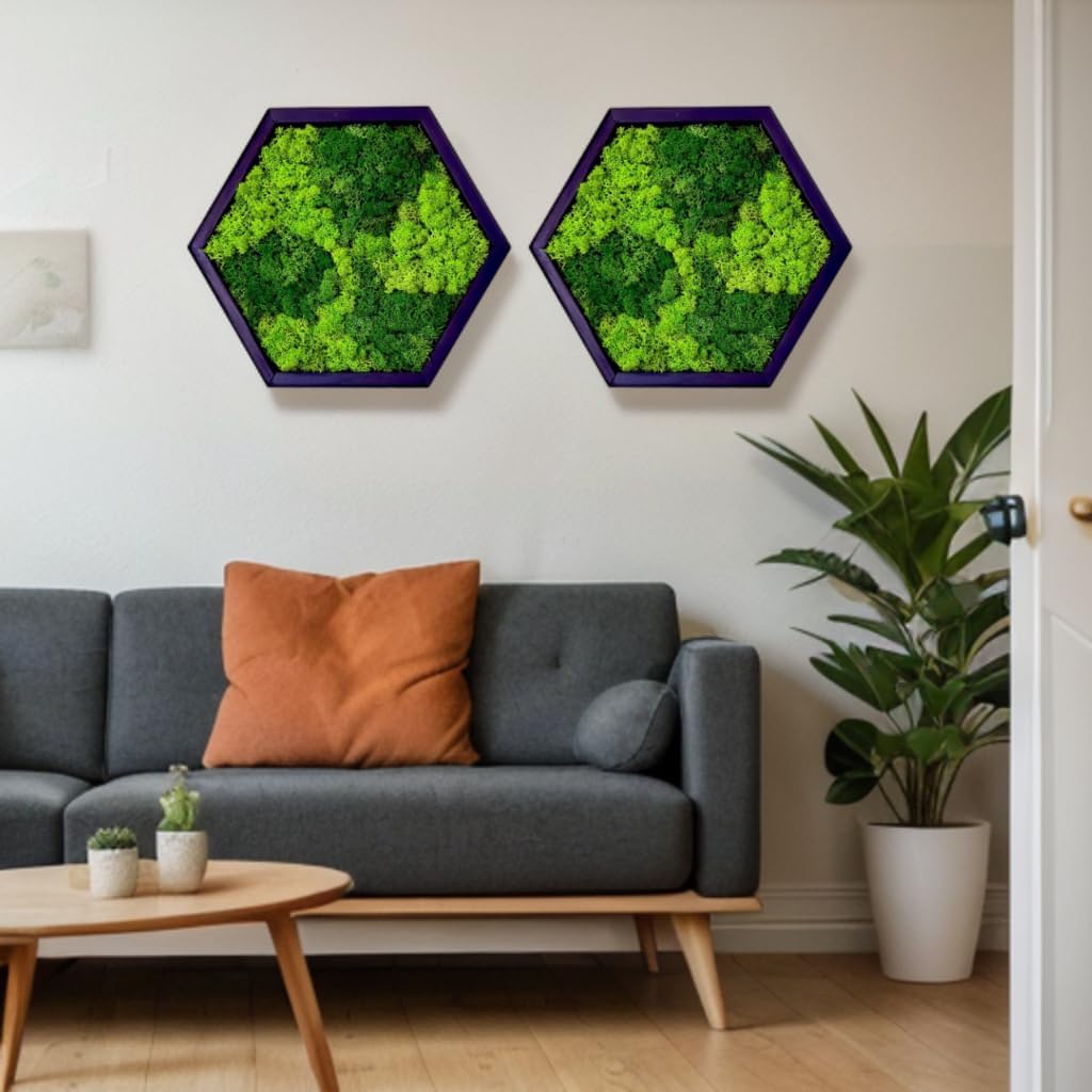 Hexagon Moss Wall Art