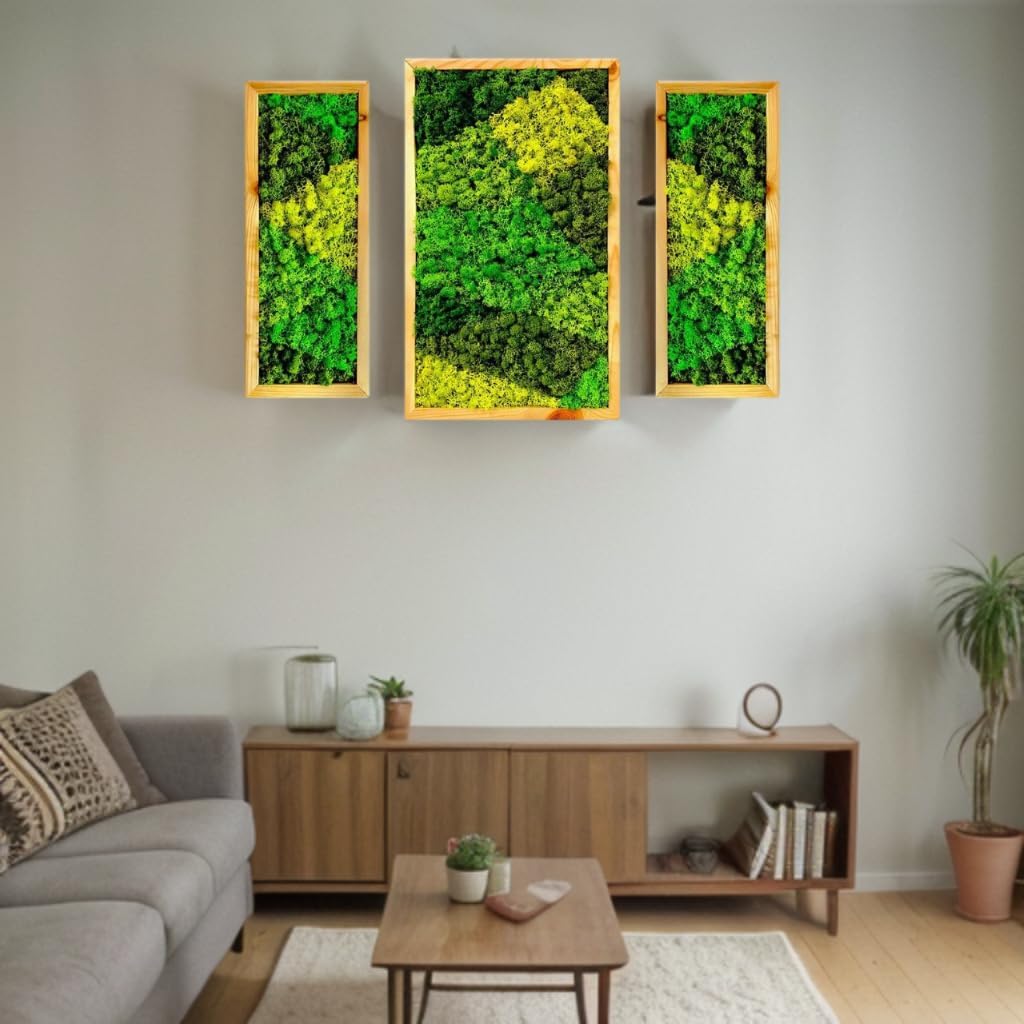 Natural Wood Framed, Set of 3