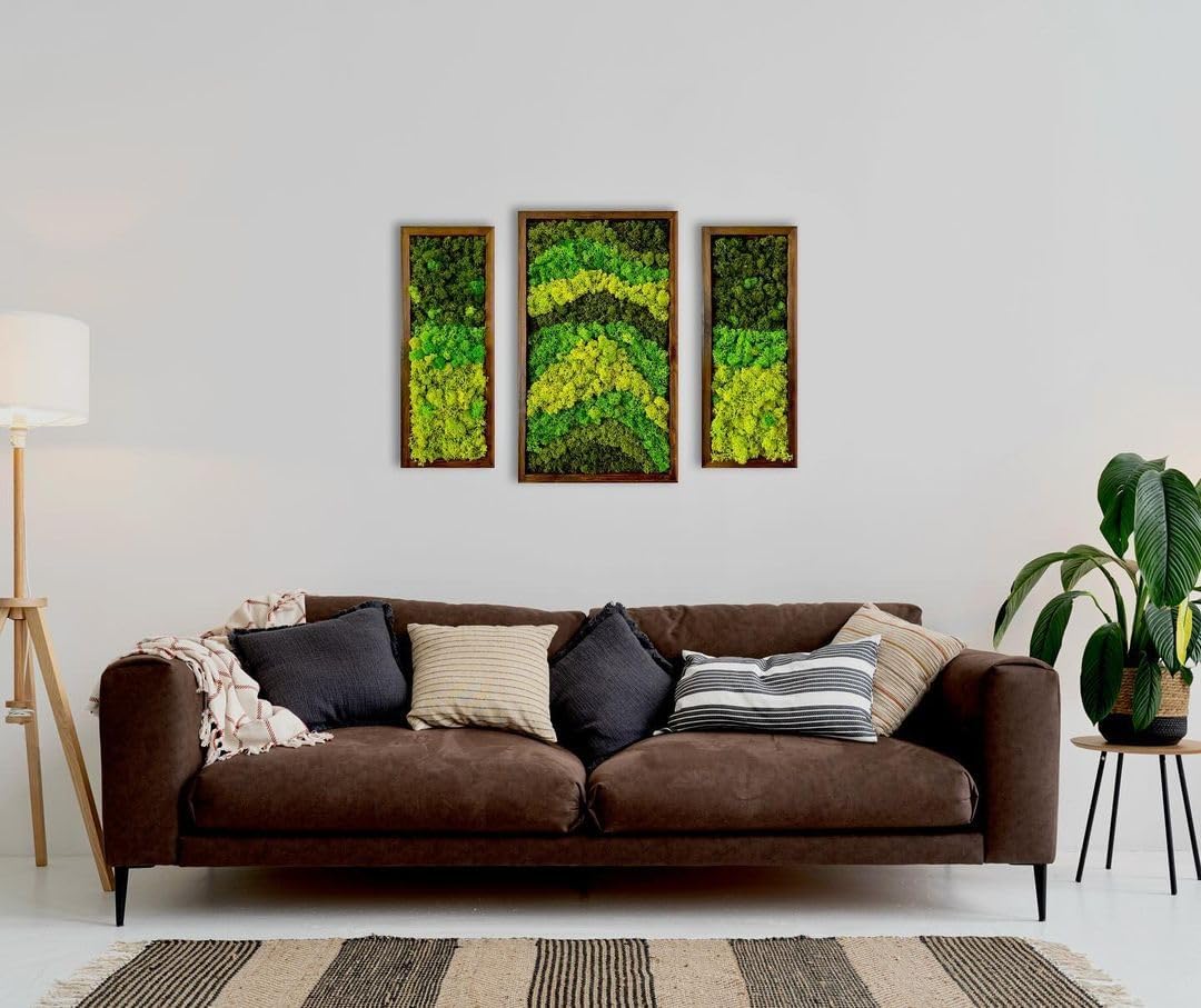 Natural Wood Framed Set of 3