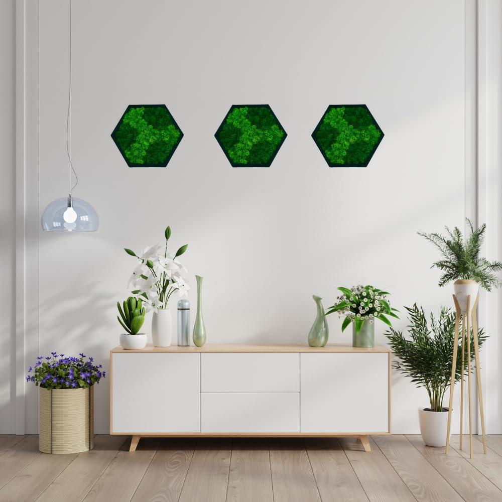Hexagon Moss Wall Art