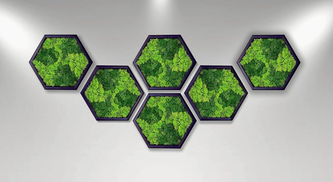 Hexagon Moss Wall Art