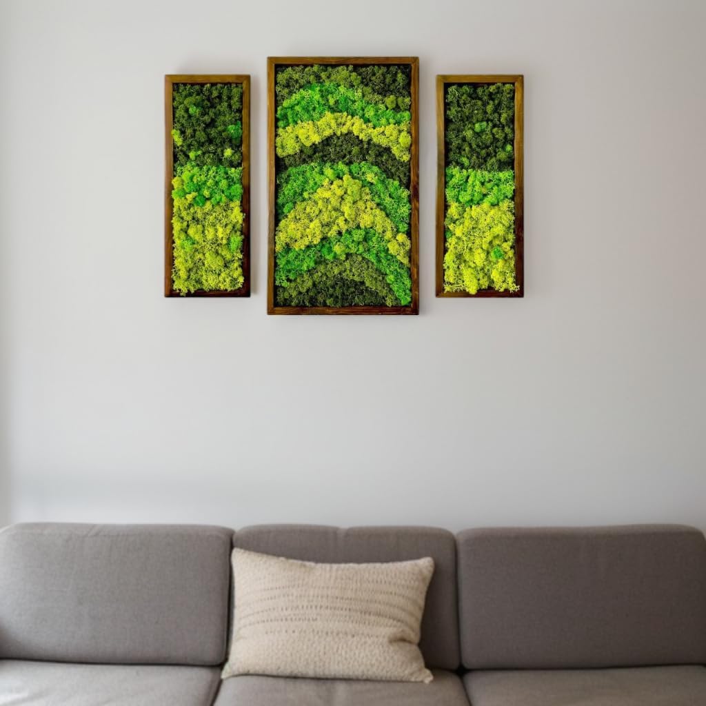 Natural Wood Framed Set of 3