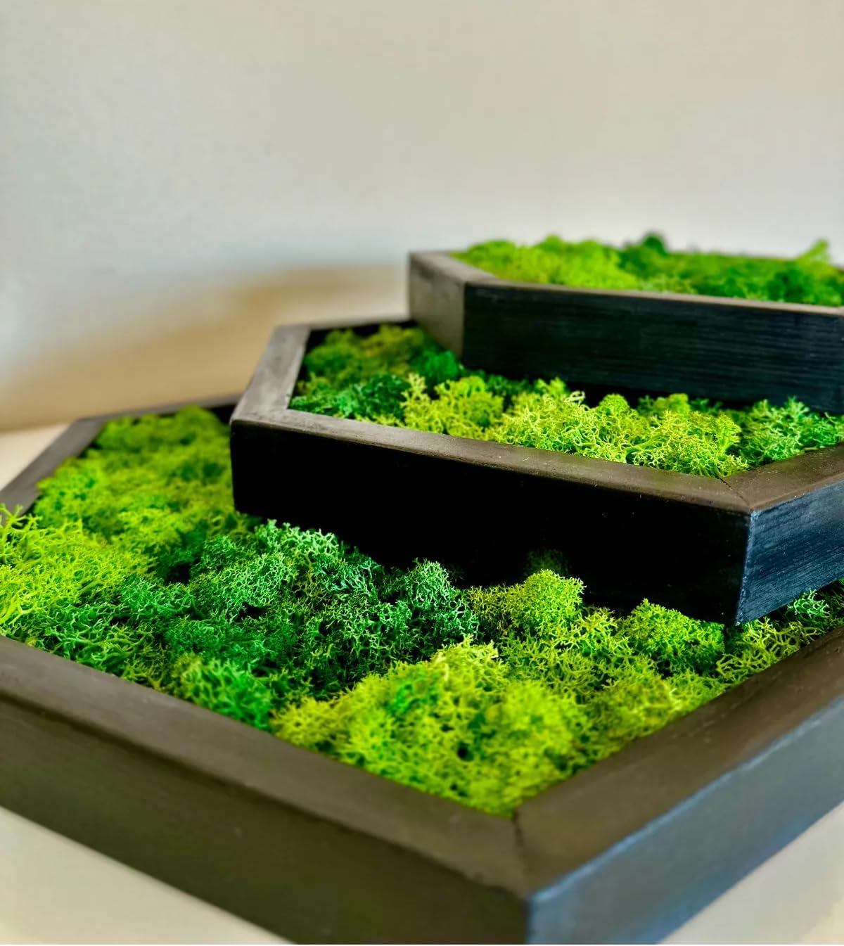 Hexagon Moss Wall Art