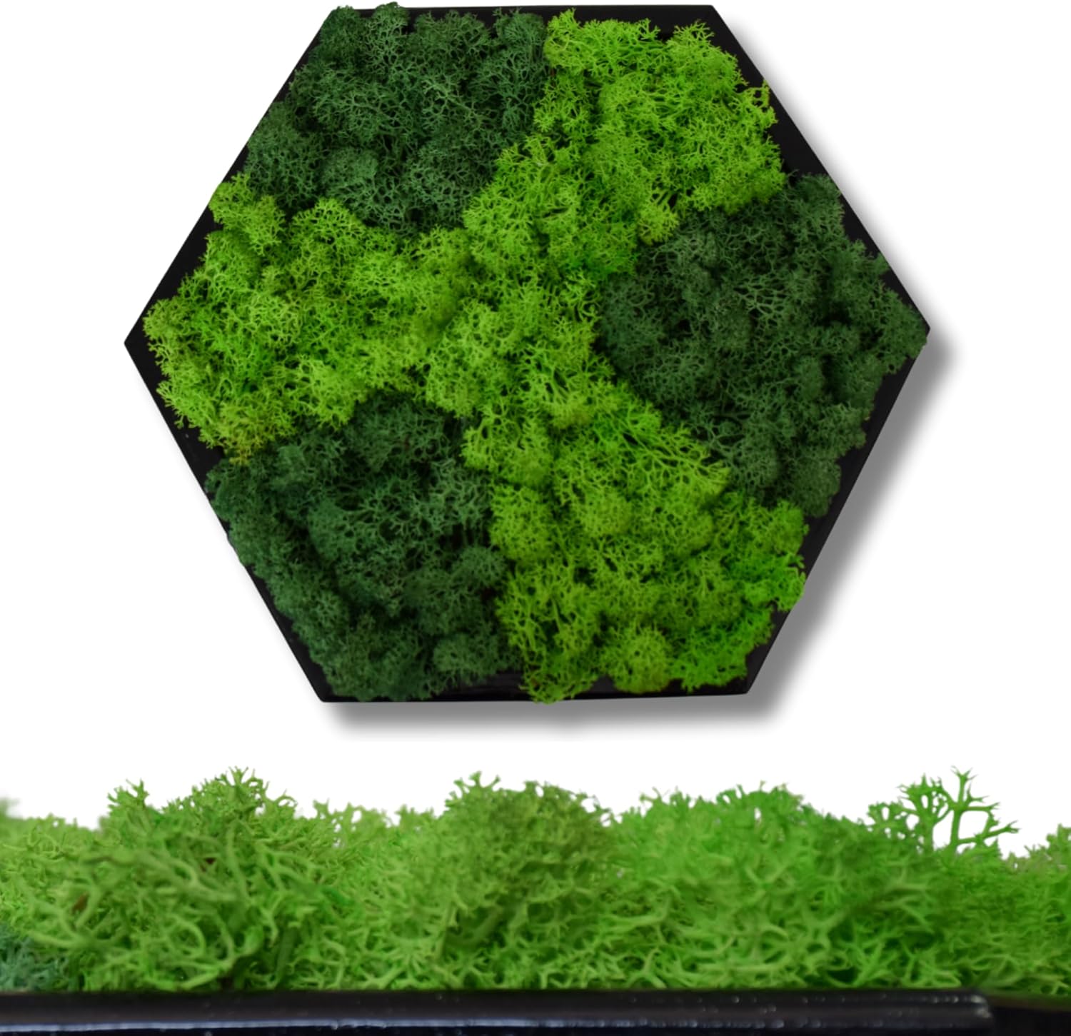 Hexagon Moss Wall Art
