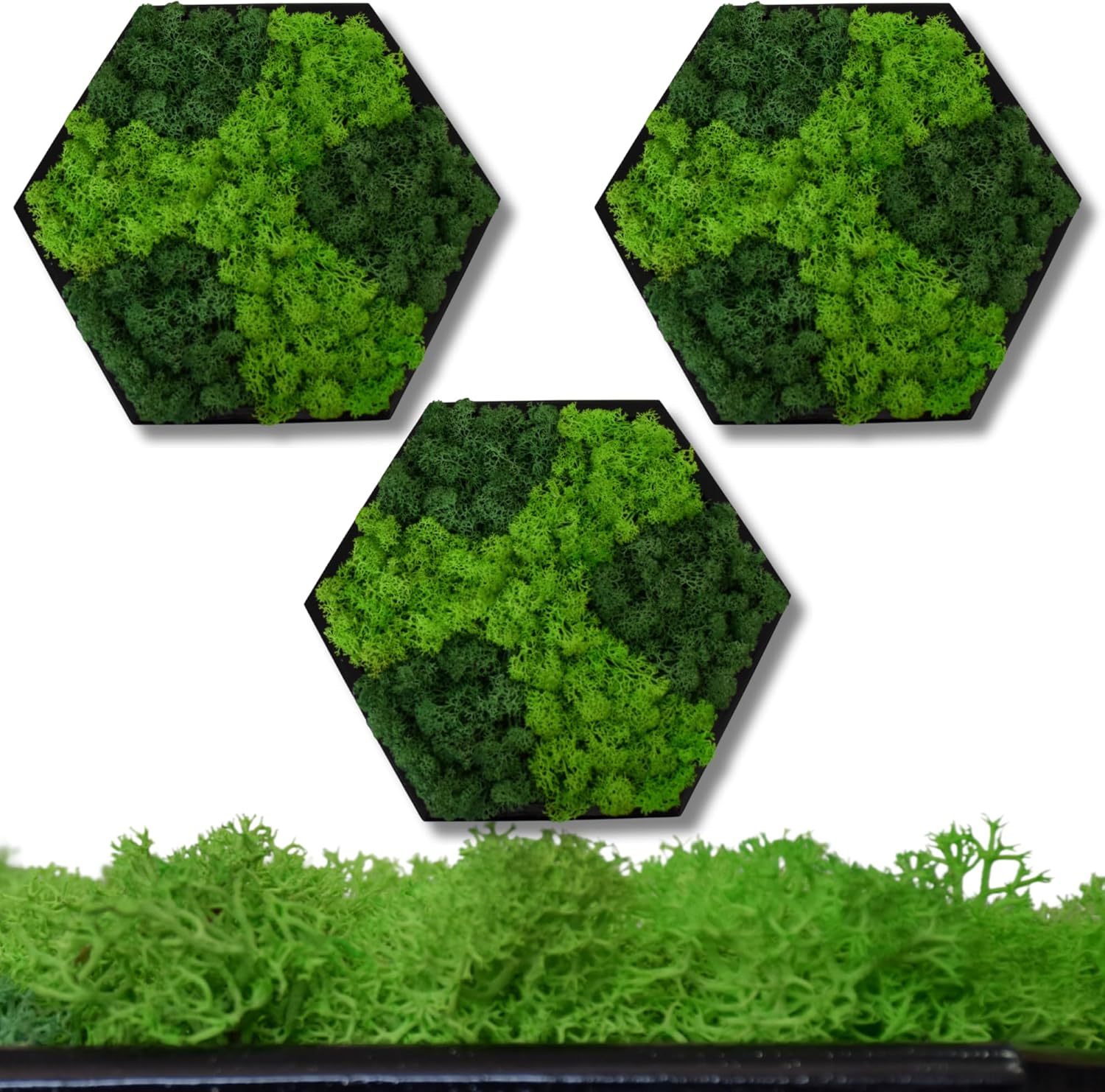 Hexagon Moss Wall Art