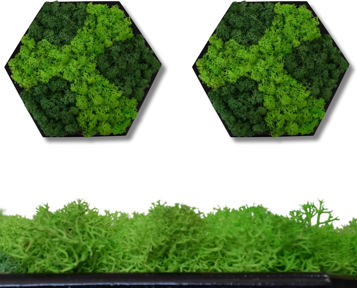 Hexagon Moss Wall Art