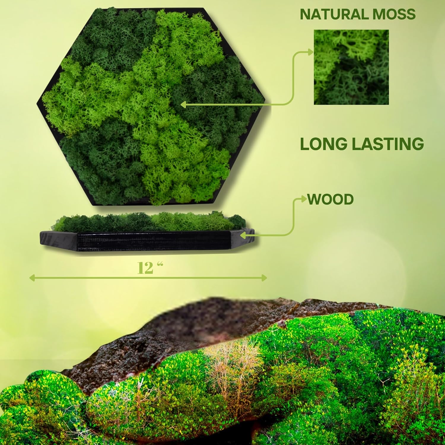 Hexagon Moss Wall Art