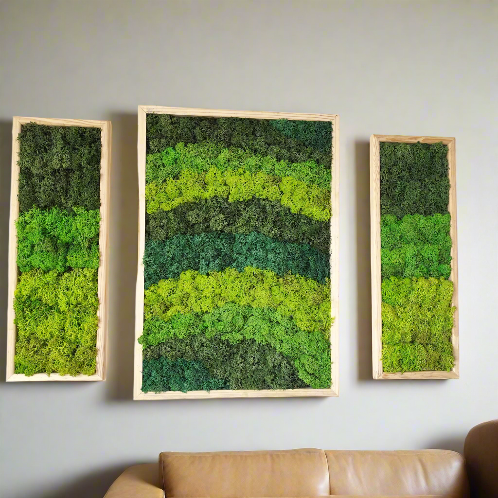 Three framed moss wall art pieces on a white wall