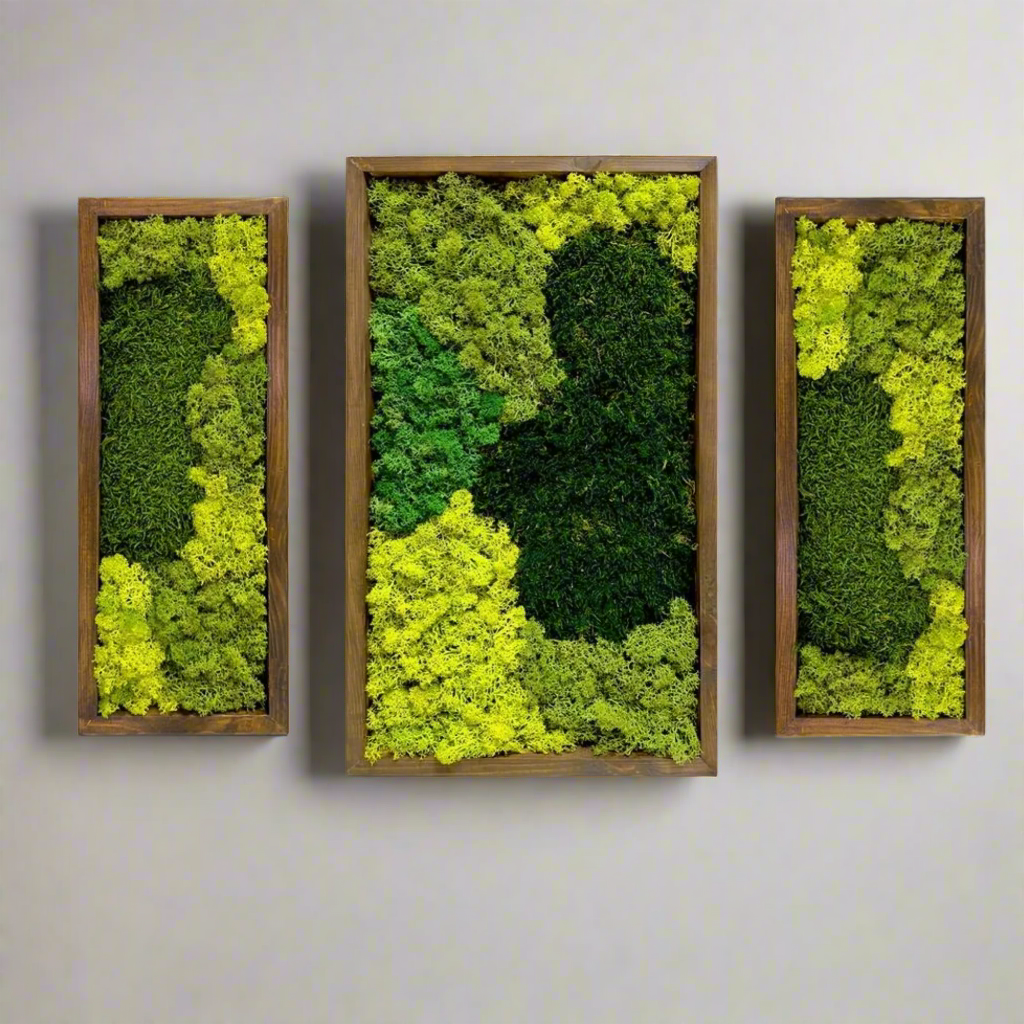 Forest Dream Set Of 3