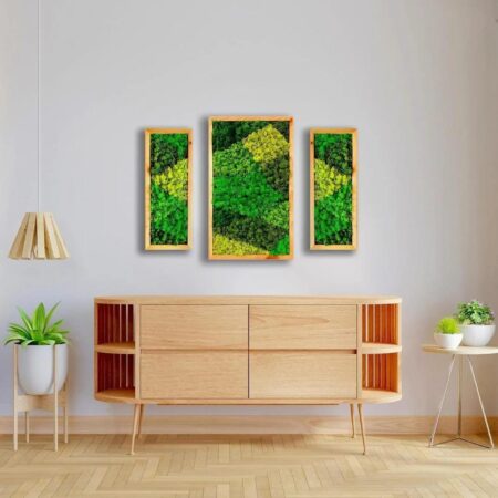 Natural Wood Framed, Set of 3