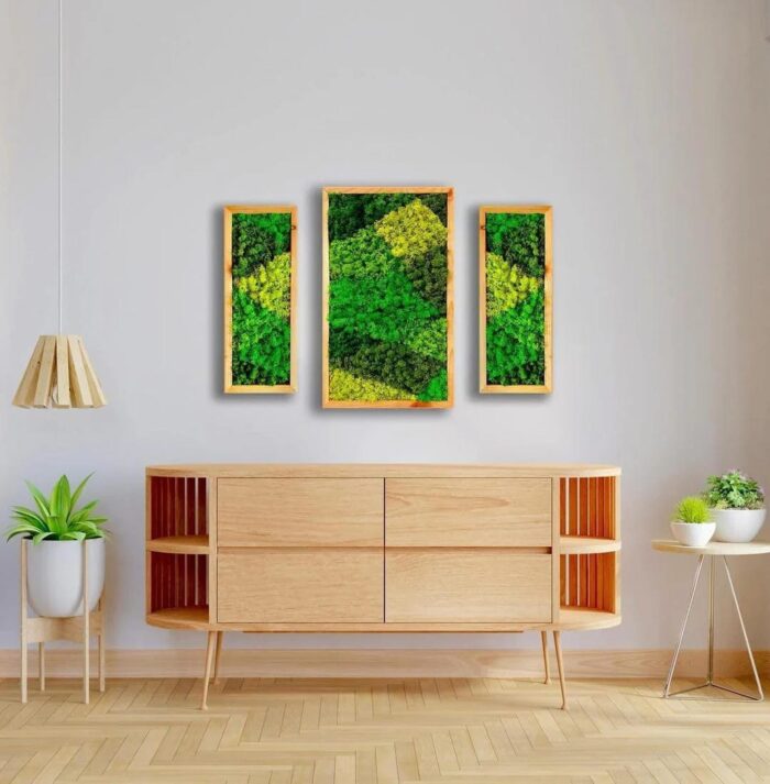 Natural Wood Framed, Set of 3