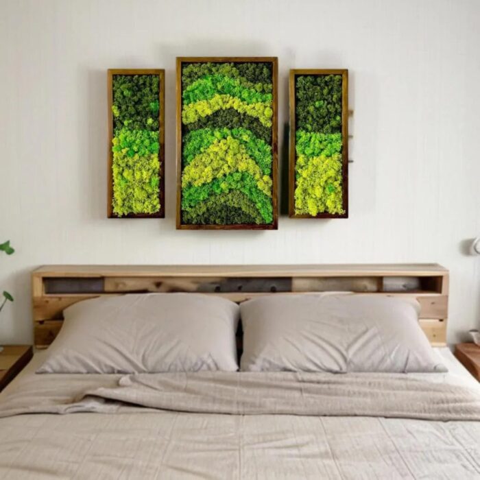 Natural Wood Framed Set of 3