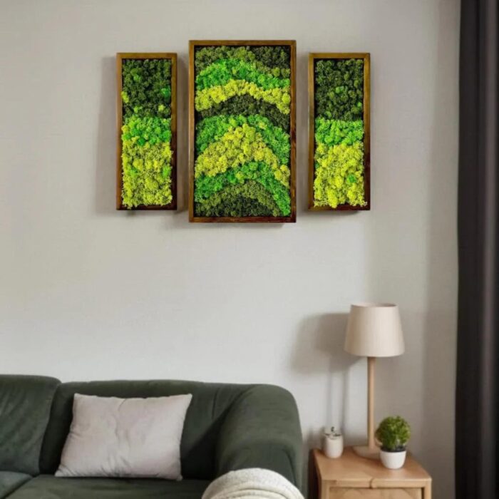 Natural Wood Framed Set of 3