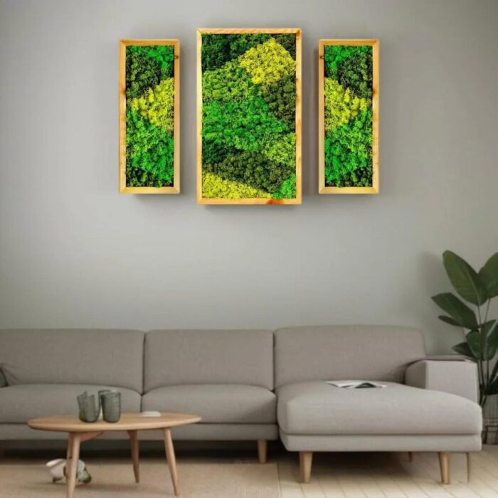 Natural Wood Framed, Set of 3