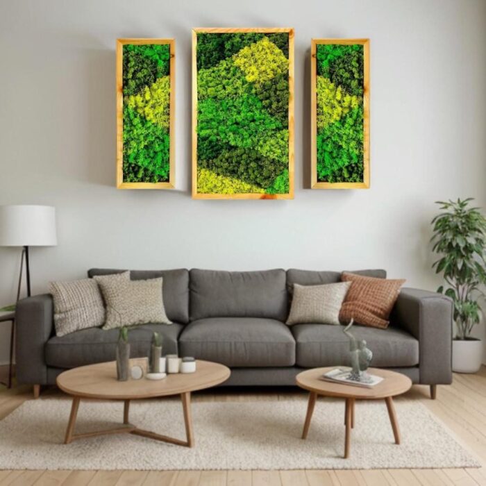 Natural Wood Framed, Set of 3