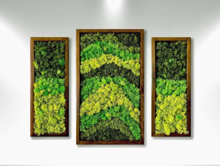 Natural Wood Framed Set of 3