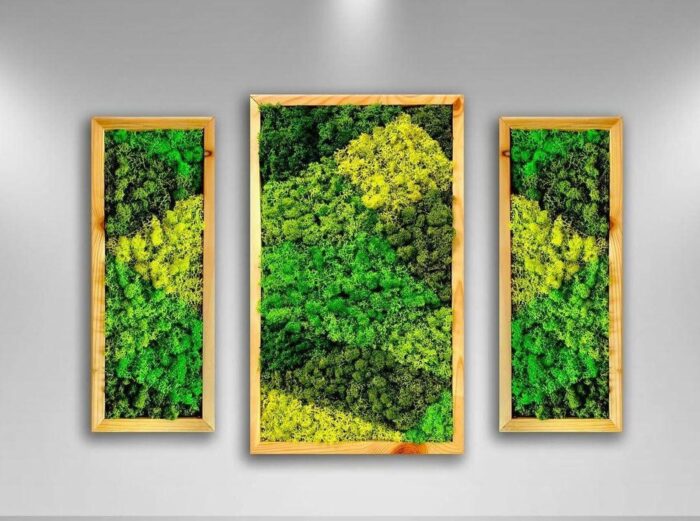 Natural Wood Framed, Set of 3