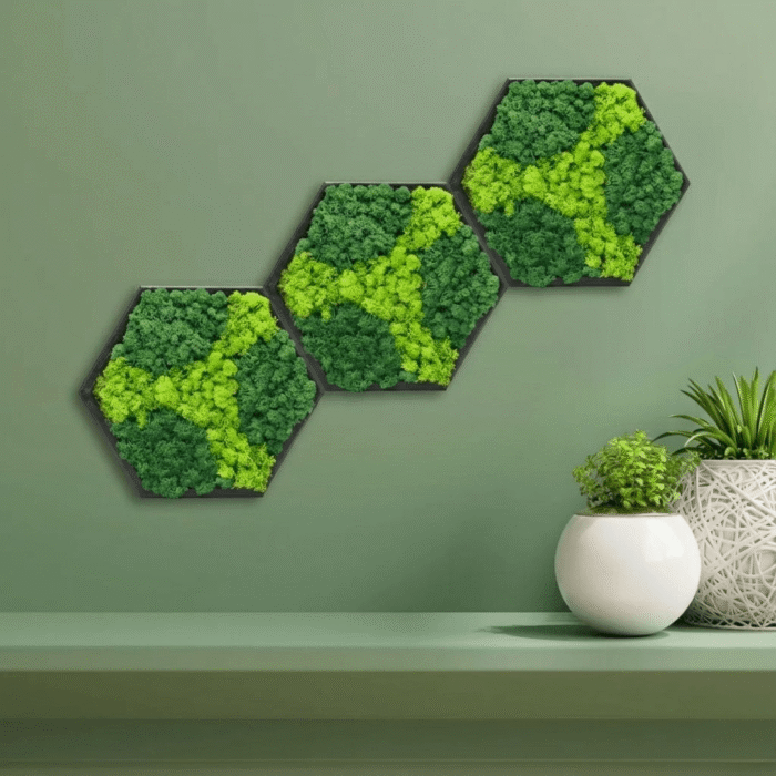 Hexa Modular Moss Panel