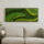 Moss Panel