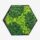 Hexa Modular Moss Panel