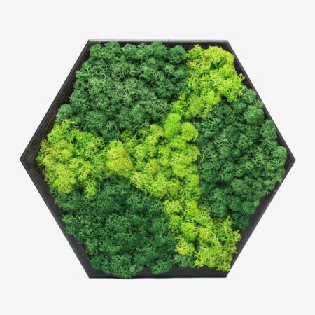 Hexa Modular Moss Panel
