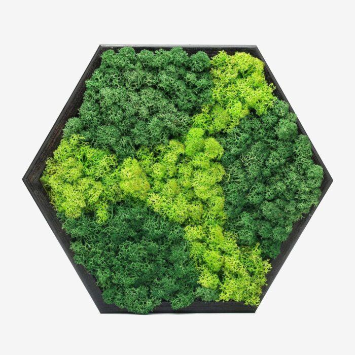 Hexa Modular Moss Panel