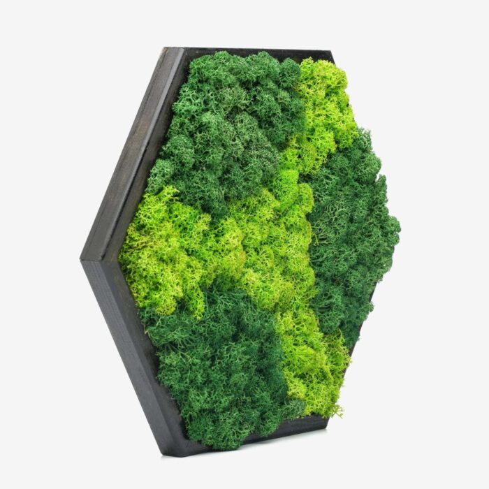 Hexa Modular Moss Panel