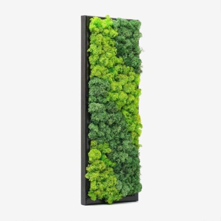 Vertical Moss Wall Art