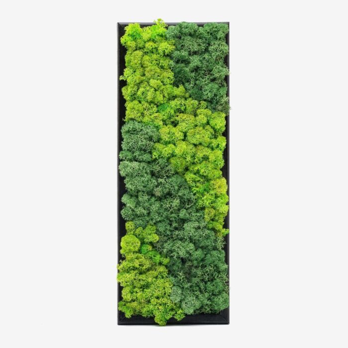 Vertical Moss Wall Art