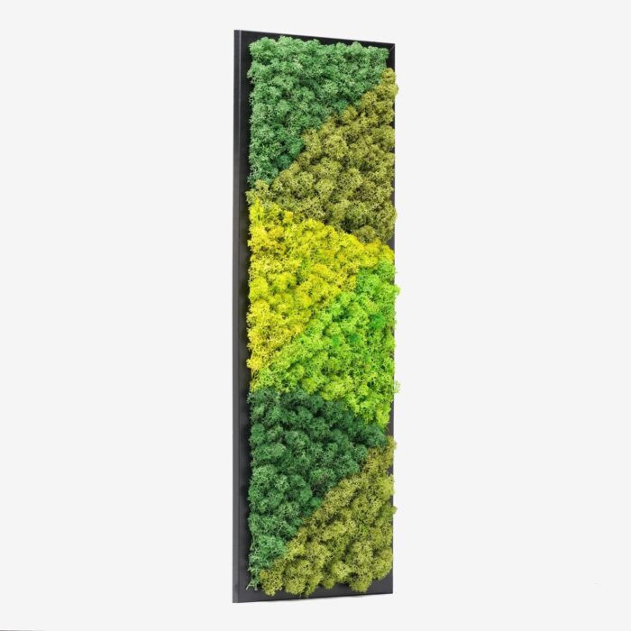 Tall Vertical Reindeer Moss Wall Art | Black Framed Biophilic Decor