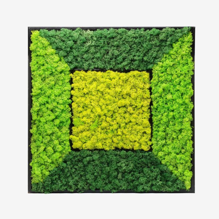 Geometric Moss Wall Art