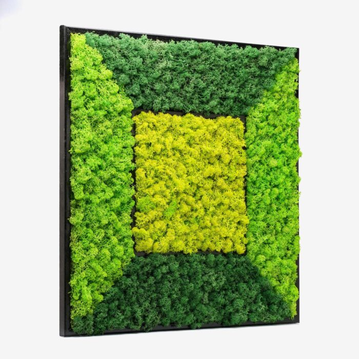 Geometric Moss Wall Art