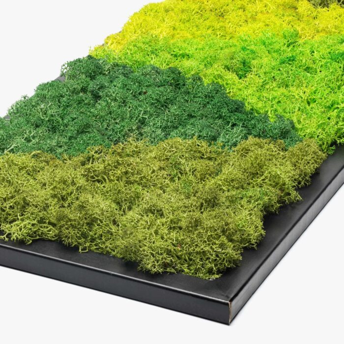 Tall Vertical Reindeer Moss Wall Art | Black Framed Biophilic Decor