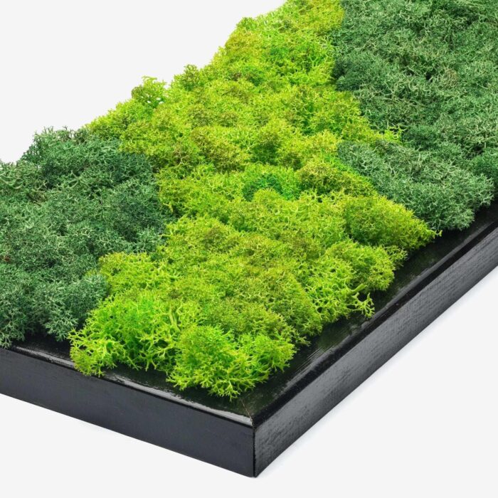 Vertical Moss Wall Art