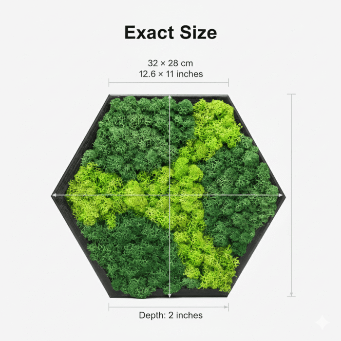 Hexa Modular Moss Panel