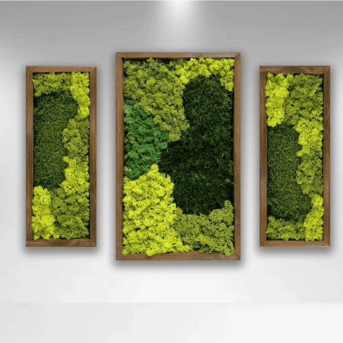 Forest Dream Set Of 3