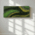 Moss Panel
